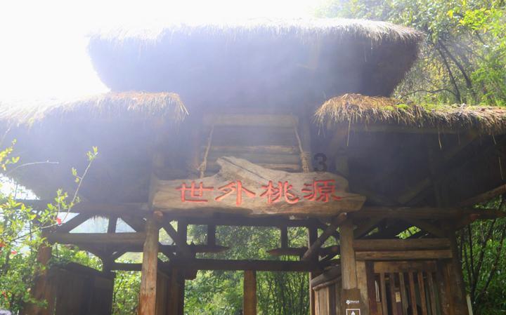 探索知识星球平台,发现驾驶证没扣分需要年审吗?的乐趣和智慧!