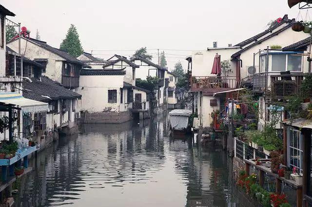 88影视